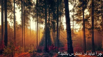 چرا همیشه در دسترس بودن باعث کاهش ارزش می‌شود؟
