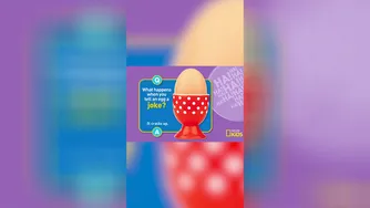 Wanna hear an EGG-cellent joke?! 🥚😂 | Just Joking—Laugh Out Loud | @natgeokids