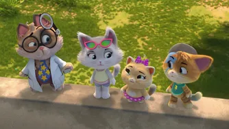 44 Cats | Mission Flying Cat: Does Meatball really fly?