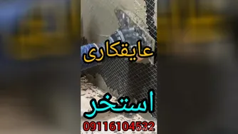 عایقکاری تخصصی استخرکاشی شده بندآب تضمین200%درمازندران09301489408بافناوری تکنولو
