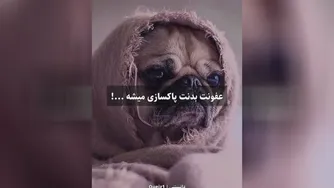 #زیاد #سرما #میخوری؛؟؟؟!!!