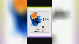 #خوراکیهای #مفید👌👌