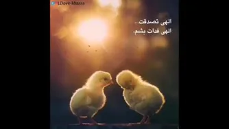محسن چاووشی