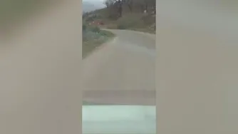 طبیعت