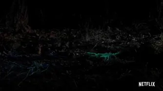 Night on Earth