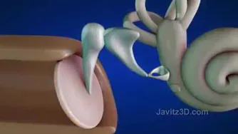 گوش