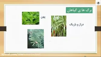 فصل 12 علوم پایه پنجم
