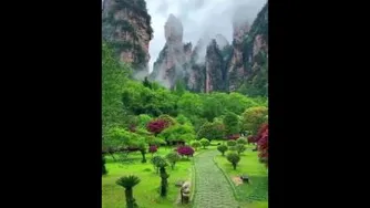 طبیعت زیبا