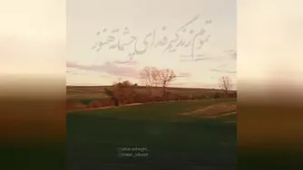 امین محمودی سرم رو شونته