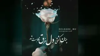 رضا بهرام آدم سابق