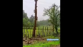 به چه دل آشوبیه نابی. 😍👌😍