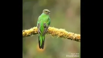 با چشمای بیدار دنیا قشنگه 🙏🐬💙🐳