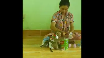 بدون شرح 🐵🐒