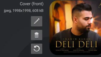 دلی دلی عاشقتم شاهین بنان Shahin Banan deli deli