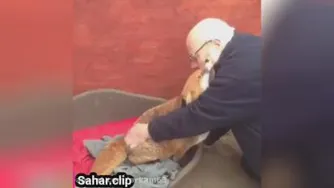 مهربانی
