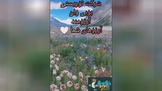 شرکت توریستی بوبی وان