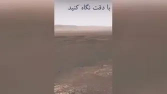 سرگرمی