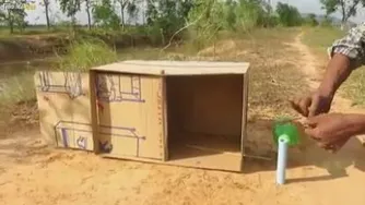 شکار پرنده