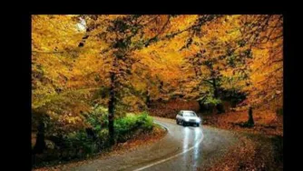 طبیعت پاییزی