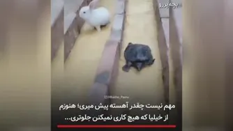 با تمام قدرت مسیر خودتو برو قطعا در زمان مناسب نت