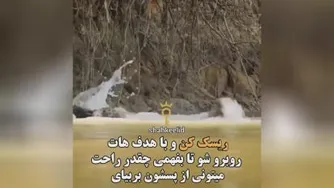 برای موفقیت باید ریسک کرد