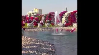 باغ گل بسیار زیبا