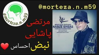آهنگ با احساس « مرتضی پاشایی » به نام« نبض احساس »