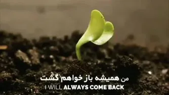 انگیزشی