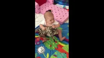 آخه این گربه است یا اسباب بازیه