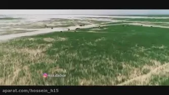 آهنگ محلی سیستانی