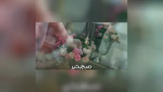 کلیپ تبریک سال نو ،عیدتون مبارک