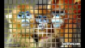 حیوانات عجیب و غریب که تا کنون ندیده‌اید