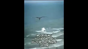 یه عقاب باش...