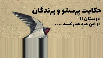 داستان پرستو و پرندگان - حکایات ازوپ
