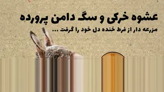 داستان جذاب عشوه دهنده خرکی و سگ دامن پرورده - حکایت های ازوپ