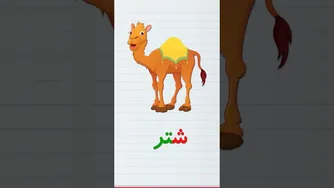 آموزش حروف و کلمات فارسی با توتی