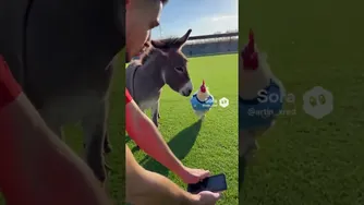 وقتی با رفیقم فوتبال بازی می‌کنم 😂