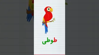 حروف و کلمات فارسی — آموزش ساده و کاربردی برای مبتدیان