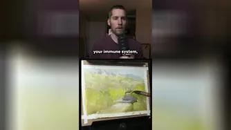 جنگل، ما را شفا می‌دهد