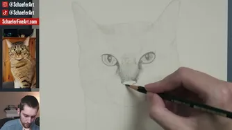 نقاشی پرتره‌ای واقع‌گرایانه از گربه [قسمت ۱] - نقاشی گربه‌ها #۰۹