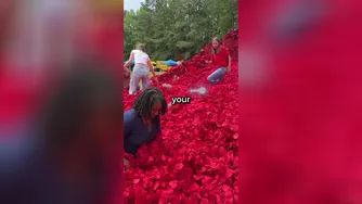 این کلید را پیدا کن، ۱۰,۰۰۰ دلار ببر
