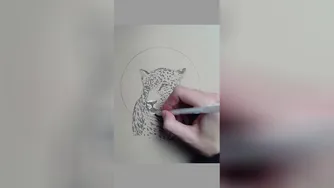 آرامش مانند یک جگوار - طراحی با خودکار