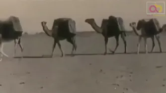جایگاه ما در تجارت در گذشته دور
