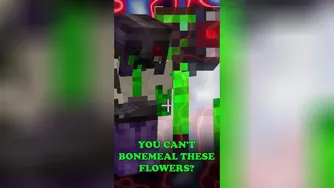 آیا آقای Docm77 کاهش داده شد؟!
