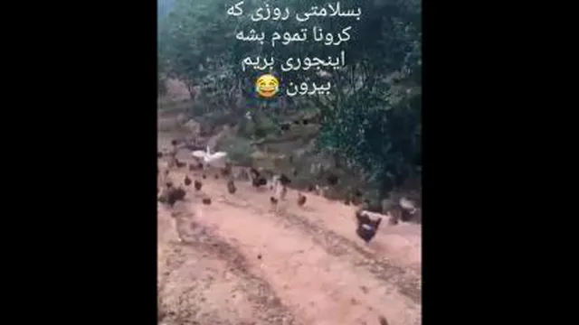 وقتی کرونا تموم بشه