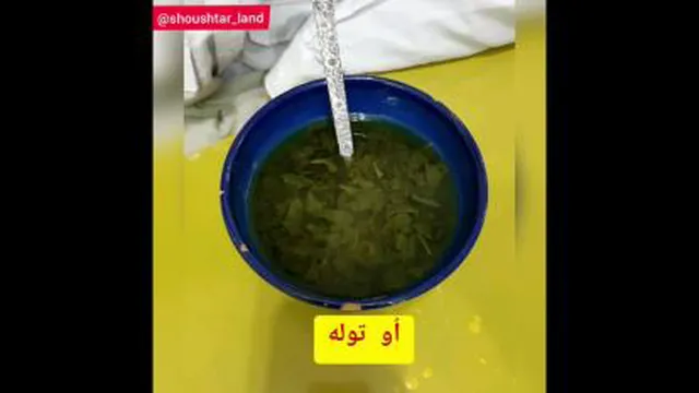 غذاهای محلی شوشتر
