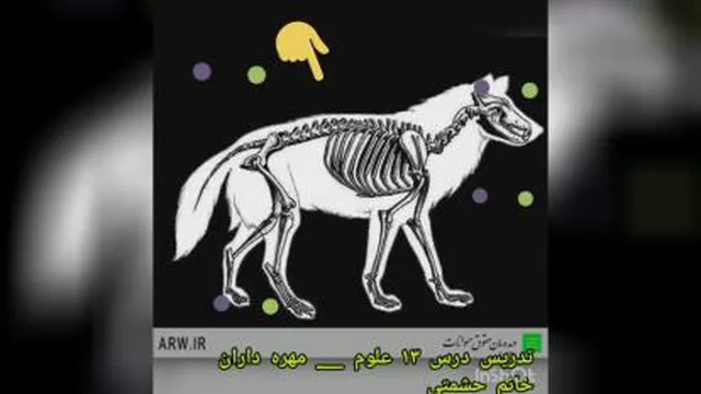 فصل 13 علوم. قسمت چهارم
