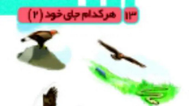 علوم سوم ابتدایی. هر کدام‌ جای خود(2). بخش دوم