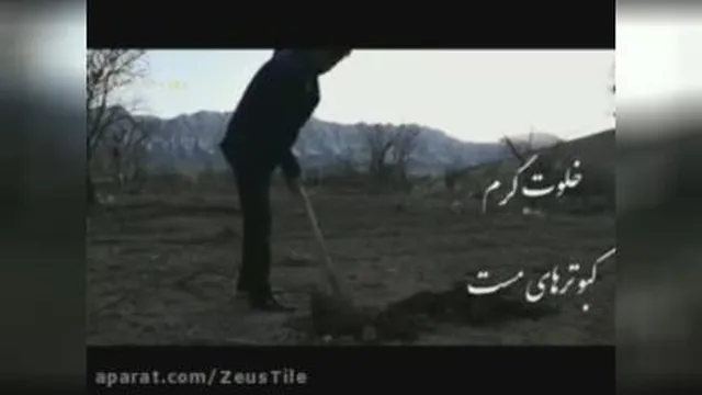 هفته درختکاری مبارک
