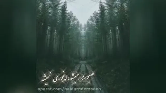 ویدیو 21